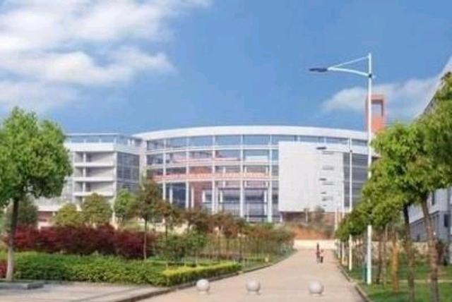 哪所院校湖北省专科排名第一,武汉软件、武汉船舶or武汉职院